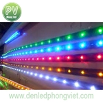 Led dây PV-ST3528I-120