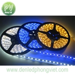 Led dây PV-ST3528U-120