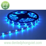 Led dây PV-ST5050U-60